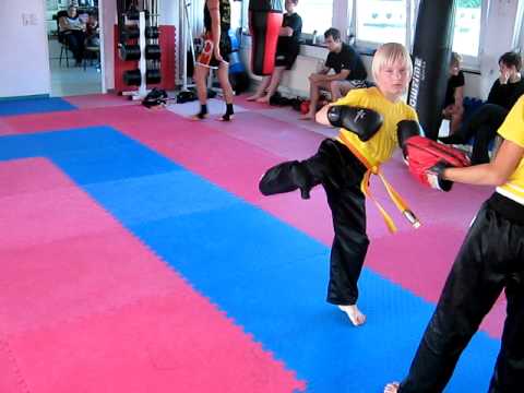 Schlagpolster Training