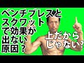 筋トレの効果が出ない「上だけ男」から脱出せよ! ベンチプレスとスクワットで筋肉の形を変えるには!