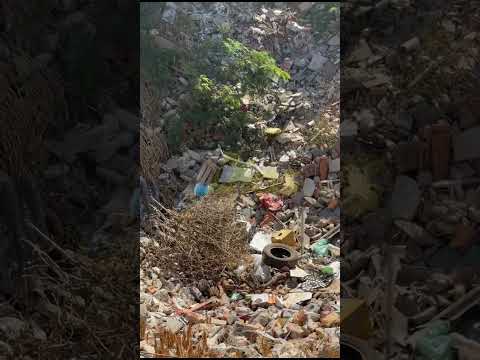 "Buraco do Cecé" com lixo e mato; Prefeitura disse que irá limpar
