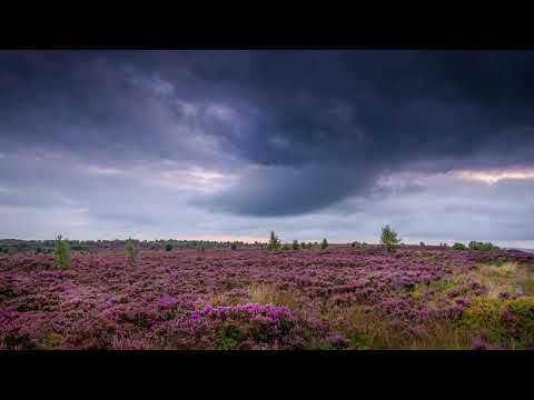 Emily Bronte Nature Poetry - Wild Explorer Workshop