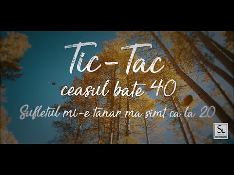 Silver x Andrei Vitan - Timpu' (Lyrics Video)