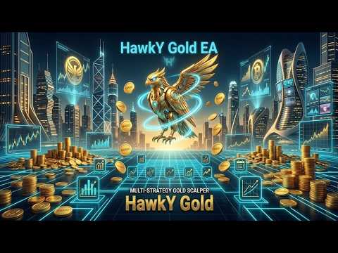 Video HawkY