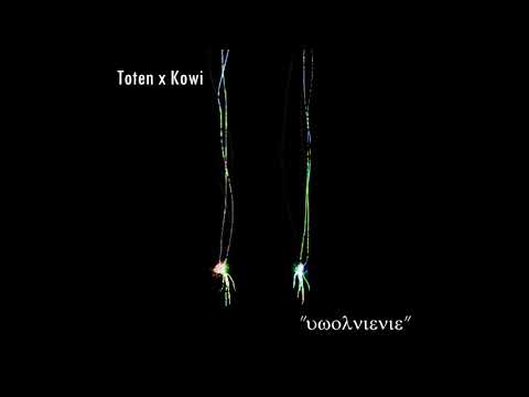 Toten x Kowi - uwolnienie