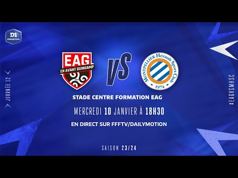 J12 I EA Guingamp - Montpellier HSC (0-1), le résumé I D1 Arkema I FFF 2023-2024