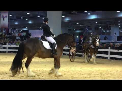 Pferd & Jagd 1. Tag