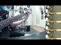 The Toasters night train to moscow bass cover