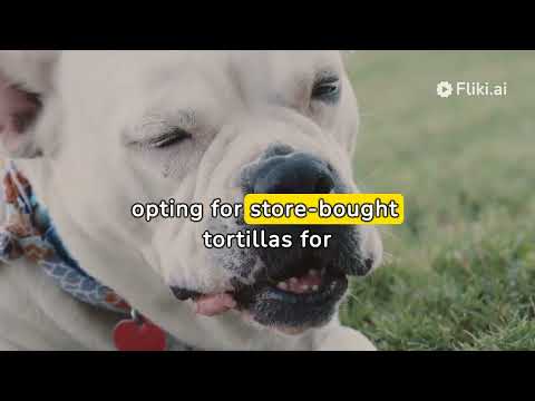 Can Dogs Eat Tortillas? [Corn, Wheat & Unsalted Chips]