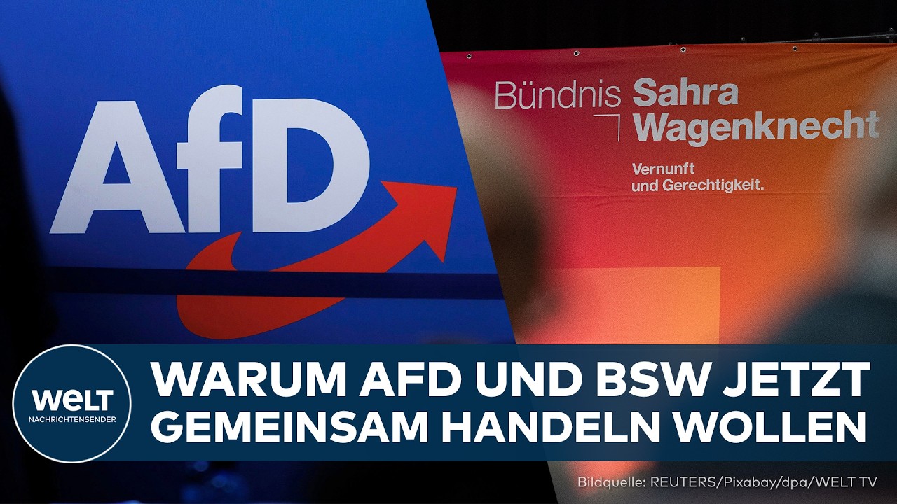 SACHSEN-ANHALT: Hahn zu für die Ukraine? AfD und BSW ziehen jetzt gemeinsam an einem Strang