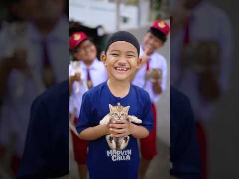 bangun tidur jangan pegang kucing