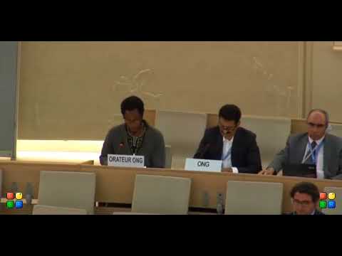 36th Regular Session Human Rights Council - WG on Mercenaries - Mr. Kobia