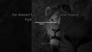 You’re Not a Sheep. You’re a Lion. Start Acting Like It #shorts