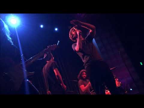 Self Defense Family - Live at The Regent Theater 2/16/2018