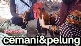 Download lagu pasar pedan.cemani dan pelung dan harganya. mp3