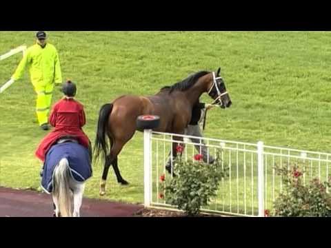 Ascot, 05/13/15, Race 4 - STOCKS - Sean Casey & Jake Casey