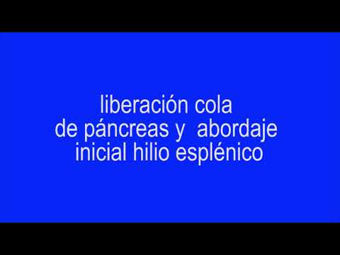 Isaias Padilla  Mota-9