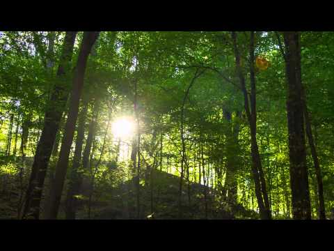 Set Mo - White Dress (feat. Deutsch Duke)