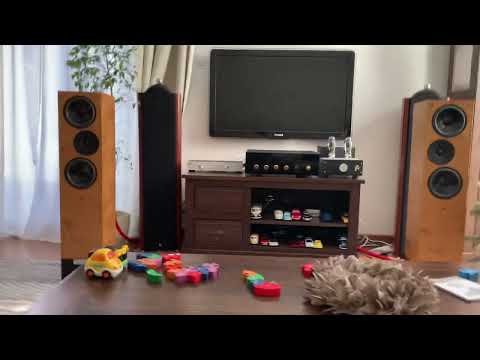 Audio Note Oto Se + Living Voice IBX R2 - Trouble