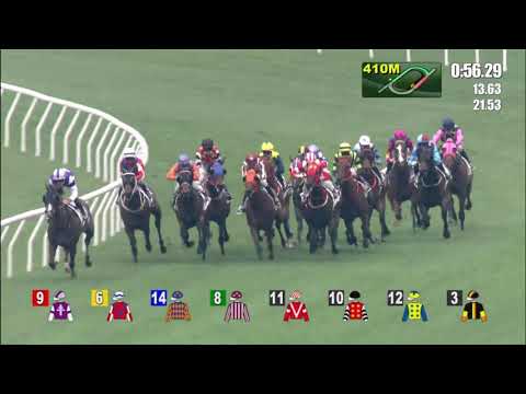 17/4/2021 (601) Unicornbaby - T Piccone