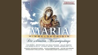 Auswahl aus den Communetexten für Marienfeste und Ordinarium für Marienfeste: Introitus....