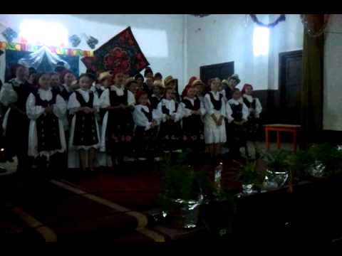 Ansamblu Padureanca Din Chisindia.3gp