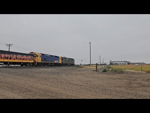 7731V PN down empty grainy (G539, BL31, 40H), Geelong to Murtoa, 1620, 28/11/25, Murtoa VIC 