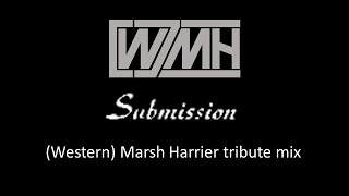 Fields of the Nephilim -  Submission - (Western) Marsh Harrier tribute mix
