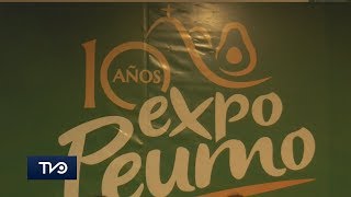 En conferencia de prensa se dio a conocer programación de la 10ma ExpoPeumo