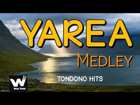 Tondono Hits - Yarea Medley (2010)#wiruvibez