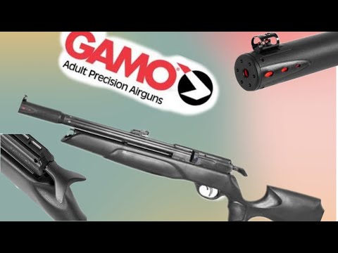 Does the Gamo Arrow HIT the mark - full review