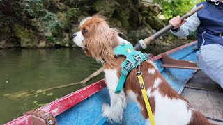 Visit to the Park 2: Vanilla goes for a boat ride