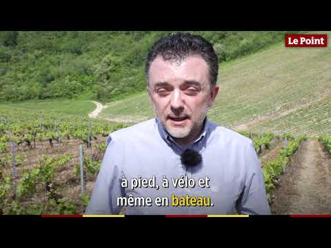 La route des vins : Loire
