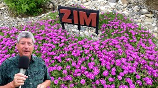 Success And Failure In My Yard & Garden - 2022 Update