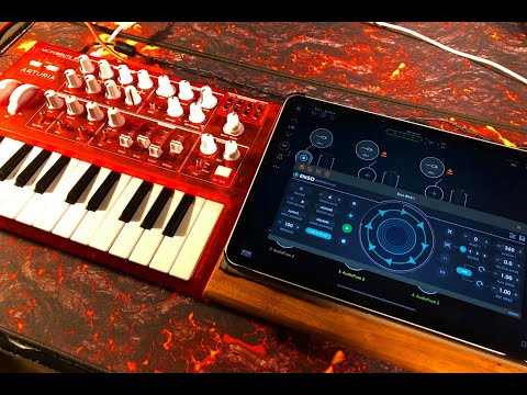 Arturia MicroBrute - Enso Audio Looper - Loads of FX - AUM Session - Live