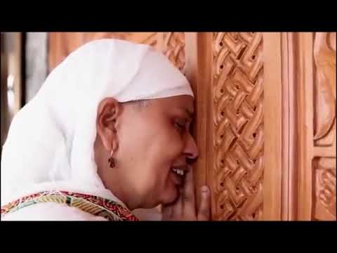ፈራሁ| Ferahu | ዘማሪት በዛወርቅ አስፋው | Bezawork Asfaw | አዲስ መዝሙር New Ethiopian Orthodox Mezmur | 2024