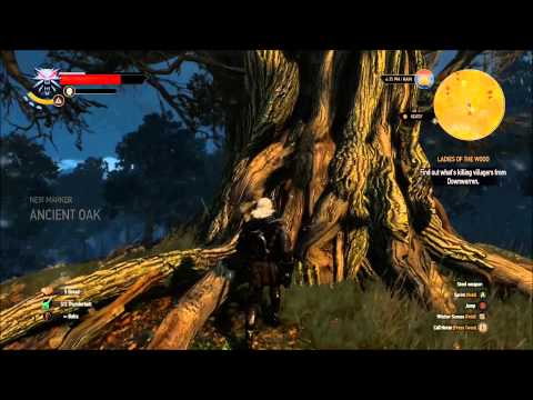 Witcher 3 Wild Hunt Find Out What's Killing Villagers From Downwarren