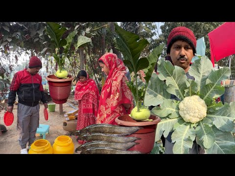 আজ পুকুরে 10 কেজী সিঙ্গি মাছ ছাড়লাম | আর সারাদিন কি কি করলাম দেখুন ||