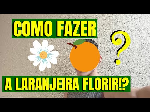 COMO FAZER A LARANJEIRA FLORIR - DESCUBRA AQUI!