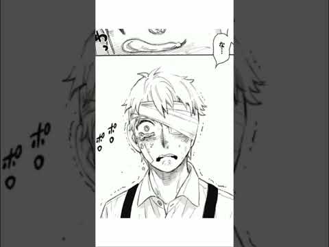 ジムノフィオナについて詳しく解説