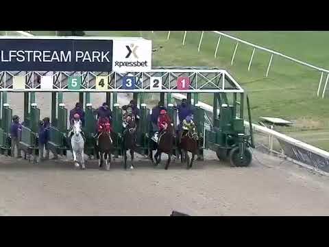 Copa Confraternidad 2019. Narrada por este servidor. . .