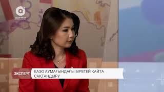 Бірегей сақтандыру мүмкіндіктері