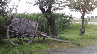 il peso della valigia - luciano Ligabue