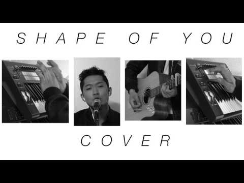 SHAPE OF YOU - COVER  ( Tenkun )