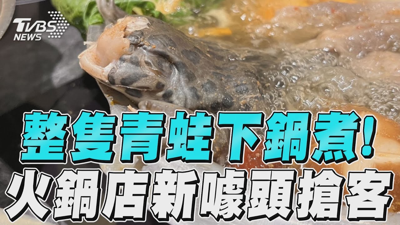 鱷魚拉麵有什麼!千葉今開賣「青蛙火鍋」整隻全下鍋震撼上市