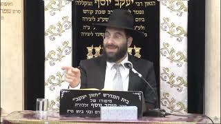 הרב משה יוסף  • הלכות לישה בשבת