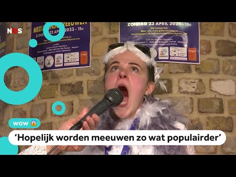 Gekke wedstrijd: Wie kan het beste een meeuw nadoen?