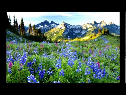 Fratele Ioan Suciu - Talcuirea Cuvantului