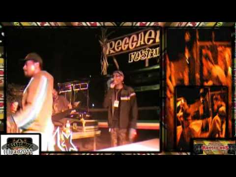 VIBRONICS ft madu & echo ranks (uk) -last dub of this station \ steppa vibes pt1 @ reggaebus 24-9-11