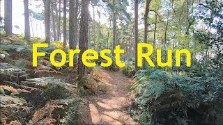 Virtual Trail Run Through The Woods - Treadmill Running Video With Forest Scenery UK 2021