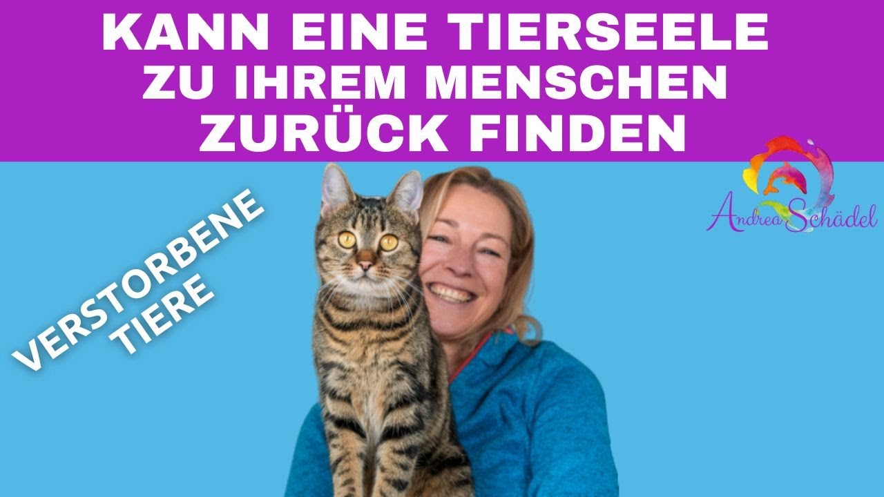 Tierkommunikation mit verstorbenen Tieren - Kann eine Tierseele wieder zu seinem Menschen kommen