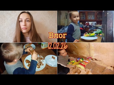 Vlog 02/12/2026 Cakes/Failed to melt/Purchases for 470 UAH